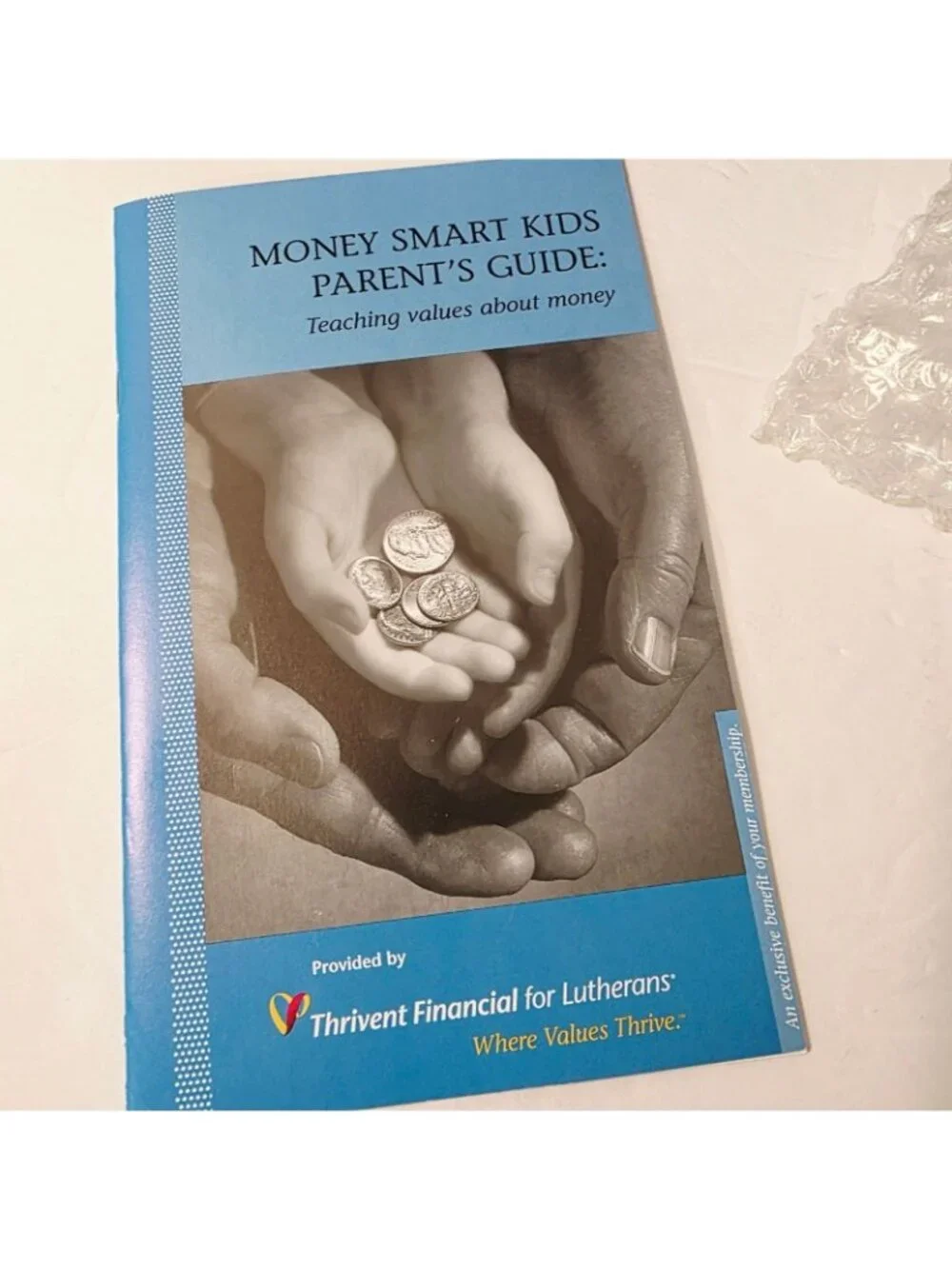 Money Savvy Pig Plastic Piggy Bank Blue Educational 4 Slots Spend Invest Save